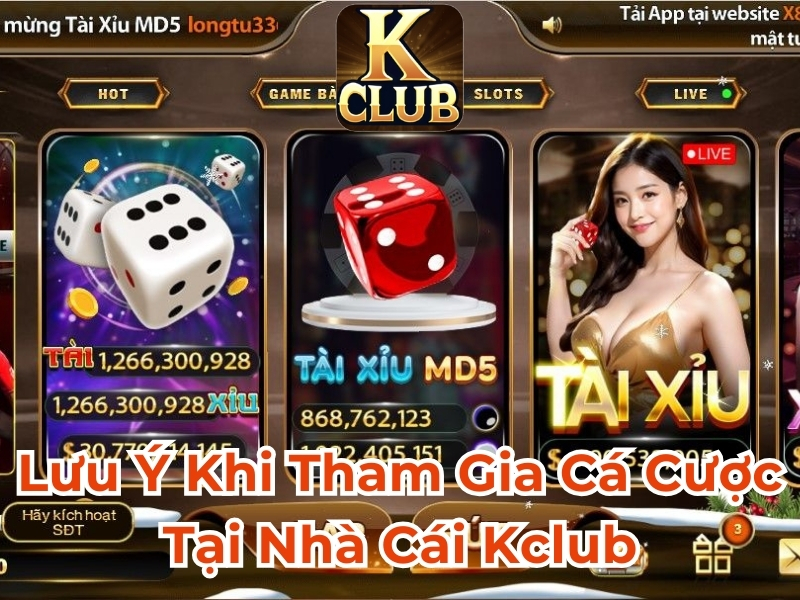 Xem qua những lưu ý khi tham gia cá cược tại nhà cái 789BET