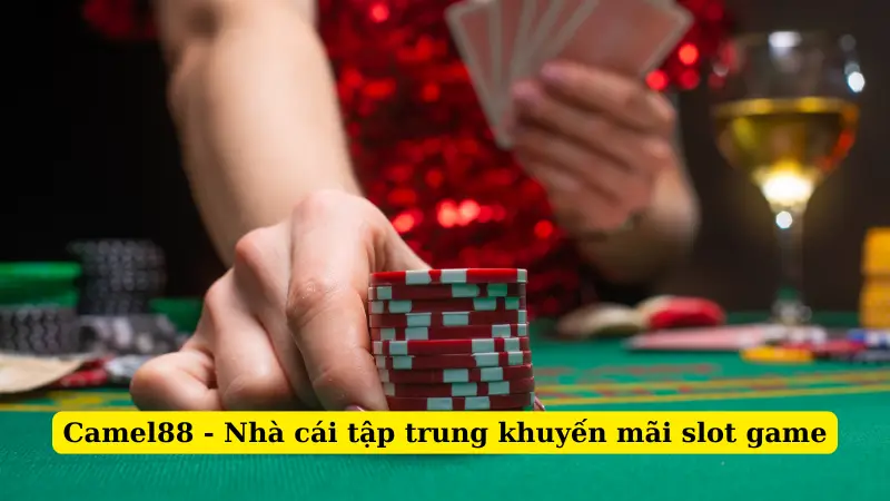 Camel88 - Nhà cái tập trung khuyến mãi slot game