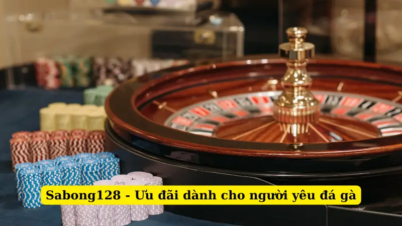 Sabong128 - Ưu đãi dành cho người yêu đá gà